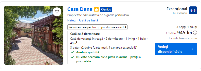 casa dana hateg | revelion 2025 la case de vacanta | case de vacanta pentru revelion 2025 |