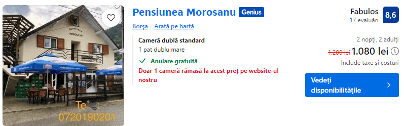 pensiunea morosanu | cazare borsa craciun 2024 |