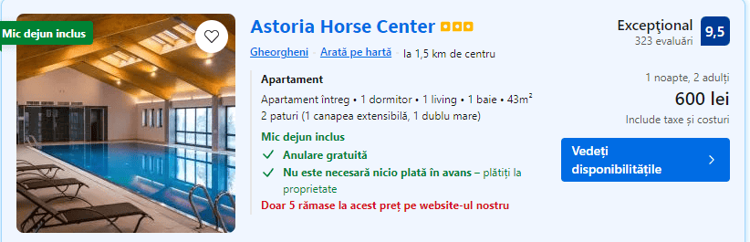 astoria horse center | echitatie romania | tururi calare | unde poti calari |